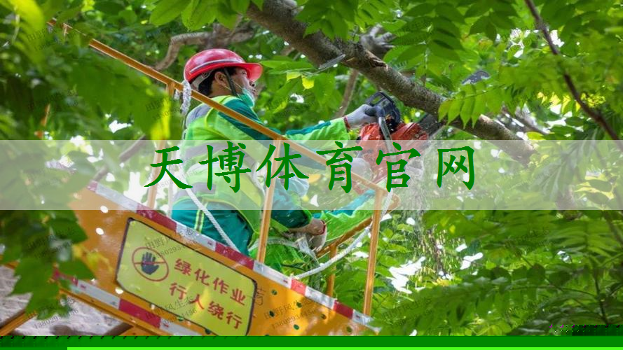 张家界城市绿化养护方案