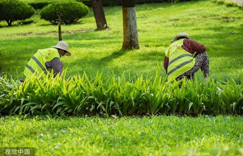 新乡绿化工程苗圃招标信息
