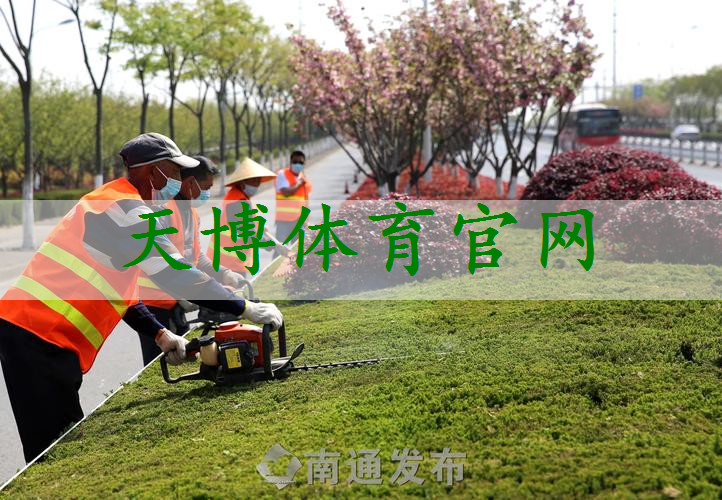 埃及沙漠绿化工程交给中国