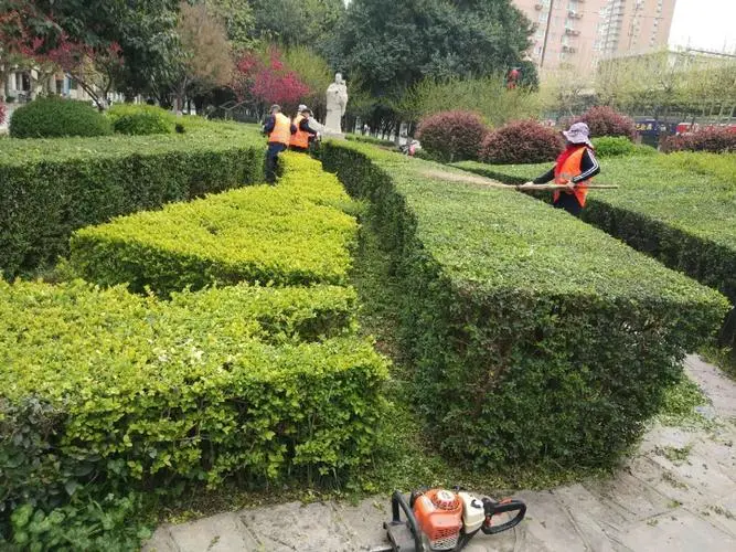 南昌园林绿化工程资质加盟费用