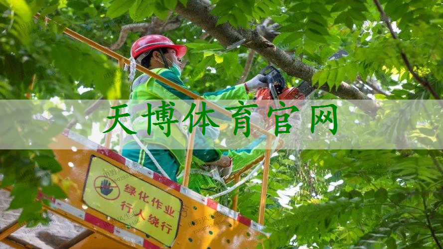 2025年建设工程定额修编工作全面启动
