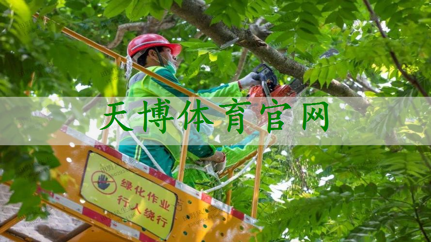 绿化工程的人工费占比